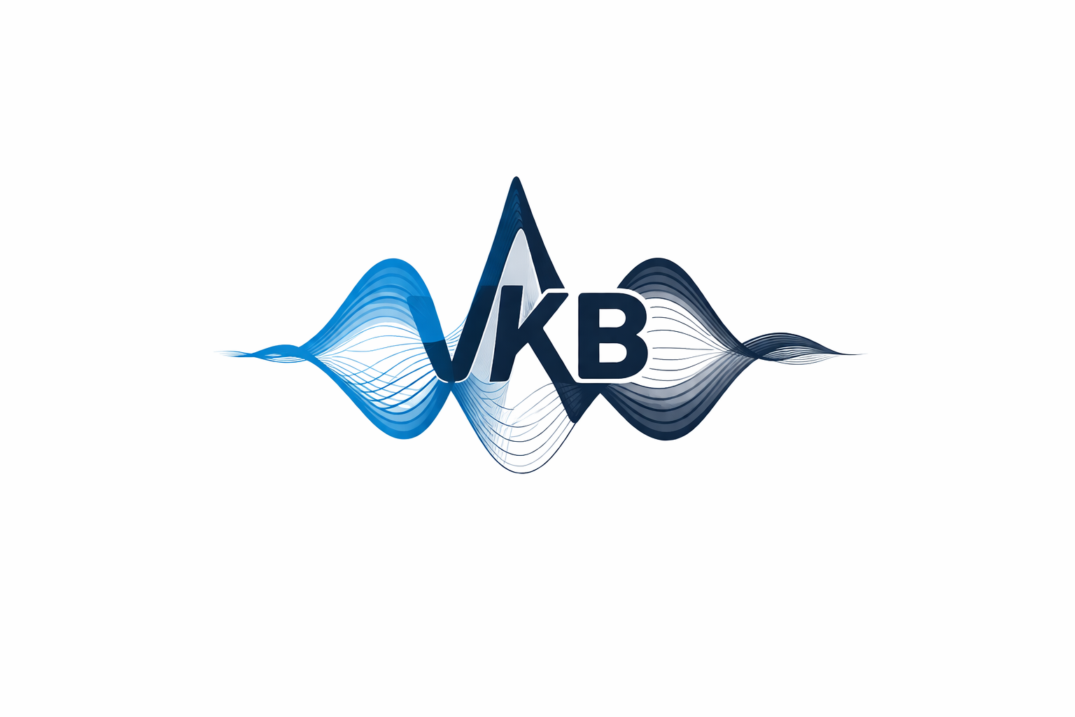 VKB, Inc.